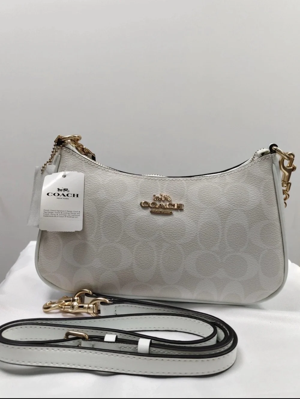 Coach Teri Signature Canvas Shoulder Bag in Glacier White